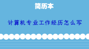 计算机专业工作经历填写范文