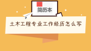土木工程专业工作经历怎么写