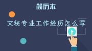 文秘专业工作经历怎么写