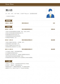 优秀的副总裁/副总经理完整求职简历模板样本