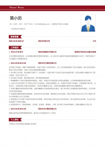 优秀的首席执行官CEO/总裁/总经理电子版免费简历模板样本