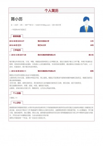 优秀的会计/会计师电子版个人简历模板范文