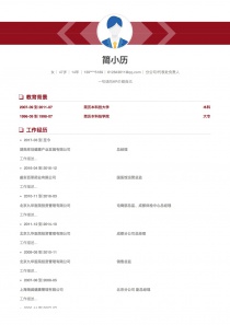 分公司/代表处负责人个人简历模板下载