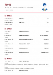 副总裁/副总经理找工作简历模板下载