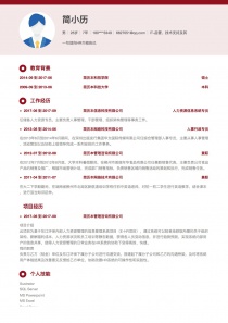 IT-品管/技术支持及其它免费简历模板