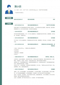 知识产权/专利/商标空白个人简历模板
