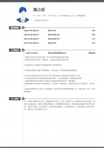 区域销售总监找工作简历模板下载word格式