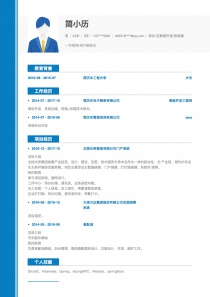 软件/互联网开发/系统集成求职简历模板范文