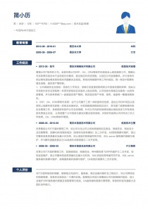 技术总监/经理简历模板下载