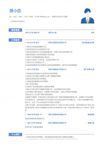 最新首席执行官CEO/总裁/总经理免费简历模板下载word格式