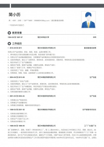 副总裁/副总经理空白免费简历模板